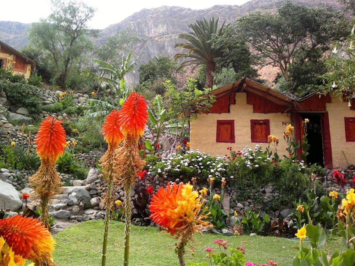 Paraiso Las Palmeras Lodge Кабанаконде Экстерьер фото