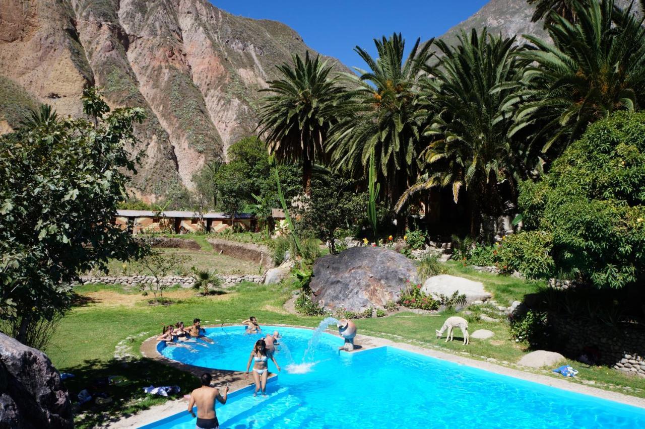 Paraiso Las Palmeras Lodge Кабанаконде Экстерьер фото