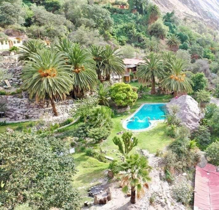 Paraiso Las Palmeras Lodge Кабанаконде Экстерьер фото